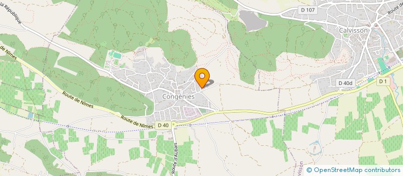 localisation de l'entreprise MADAME SANDRINE ROGER  CONGENIES