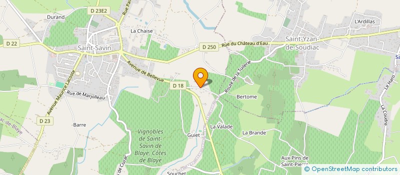 localisation de l'entreprise MADAME SANDRINE ROQUET  SAINT-SAVIN