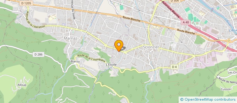 localisation de l'entreprise MADAME SANDRINE ROUGE  SCIONZIER