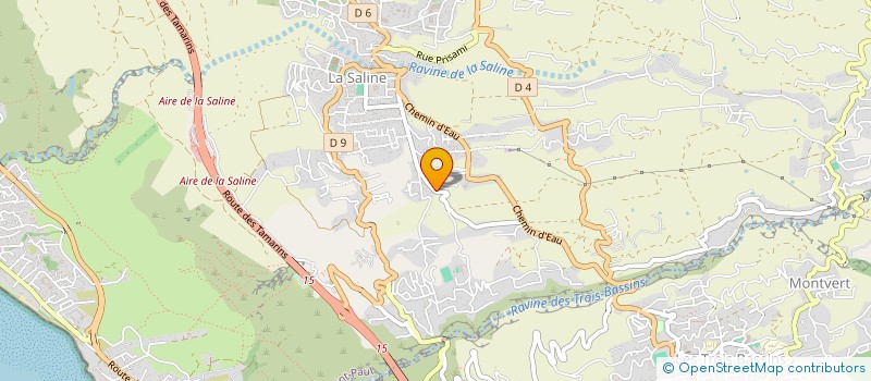 localisation de l'entreprise MADAME SANDRINE ROXO  SAINT-PAUL