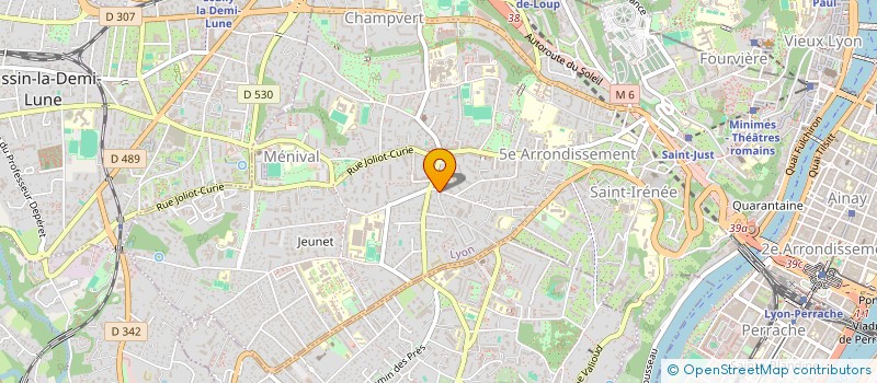 localisation de l'entreprise MADAME SANDRINE SILVA CHAVES à LYON