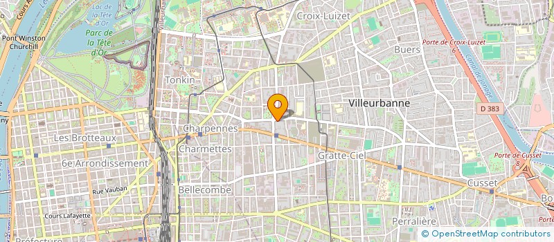 localisation de l'entreprise MADAME SANDRINE THEVENON  VILLEURBANNE