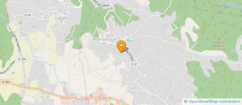 localisation de l'entreprise MADAME SANDRINE TORRES  MONTAUROUX