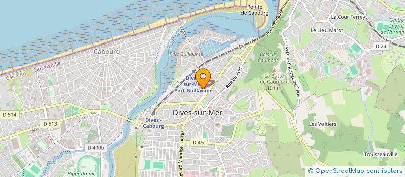 localisation de l'entreprise MADAME SANDRINE TRAVERS  DIVES-SUR-MER