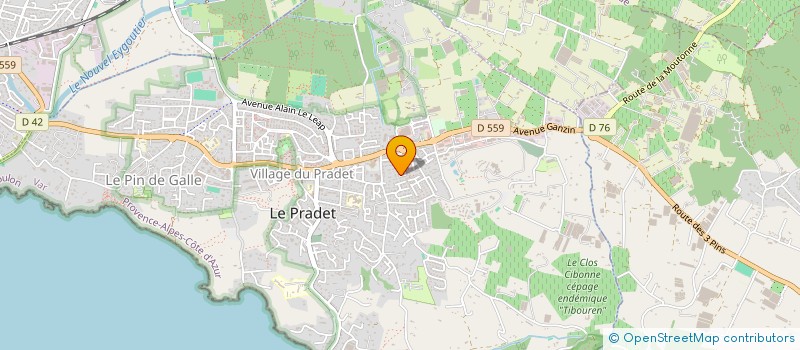 localisation de l'entreprise MADAME SANDRINE TREBIER à LE PRADET