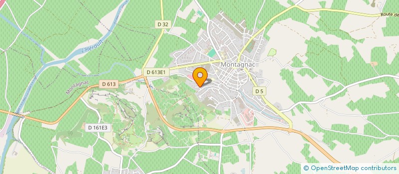 localisation de l'entreprise MADAME SANDRINE VERVOITTE  MONTAGNAC