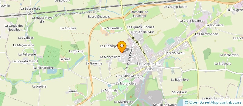 localisation de l'entreprise MADAME SANDRINE VIDAMAN  LOUVIGNE-DE-BAIS