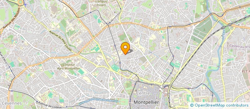 localisation de l'entreprise MADAME SANDRINE WILLEMS à MONTPELLIER
