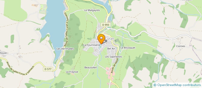 localisation de l'entreprise MADAME SANDRINE ZARLENGA à SALLES-CURAN