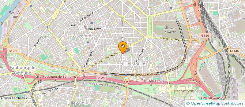 localisation de l'entreprise MADAME SANDY DALLE  LILLE