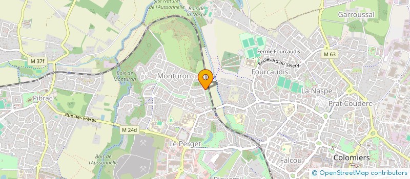 localisation de l'entreprise MADAME SANDY LEQUEPEYS à COLOMIERS