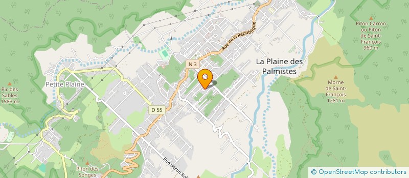 localisation de l'entreprise MADAME SANDY NGUYEN DUY NGUYEN  LA PLAINE-DES-PALMISTES