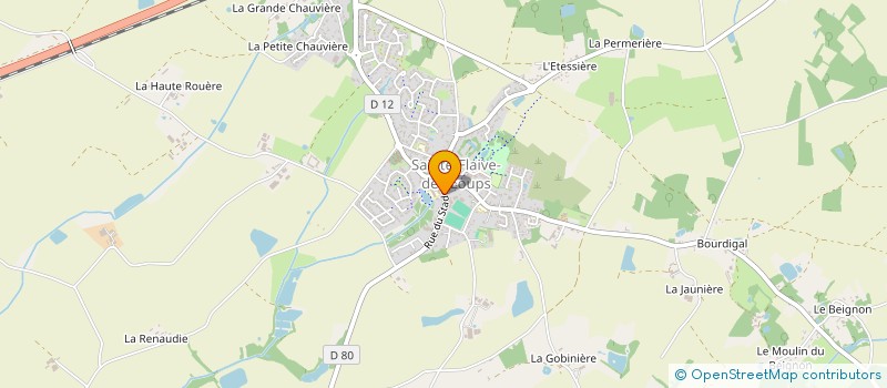 localisation de l'entreprise MADAME SANDY PALVADEAU  SAINTE-FLAIVE-DES-LOUPS