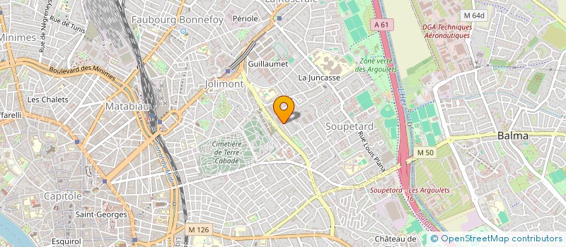 localisation de l'entreprise MADAME SARA AYARI  TOULOUSE