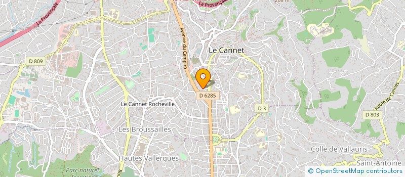 localisation de l'entreprise MADAME SARA BRUMMER-FALK à LE CANNET