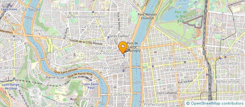 localisation de l'entreprise MADAME SARA CARRIZO à LYON