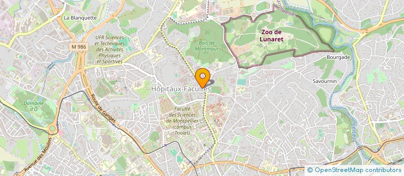 localisation de l'entreprise MADAME SARA CHABANE à MONTPELLIER