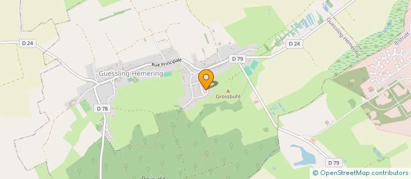 localisation de l'entreprise MADAME SARA FRANK  GUESSLING-HEMERING