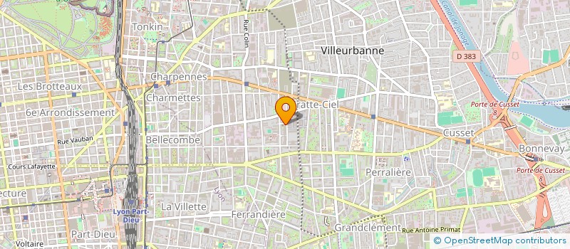 localisation de l'entreprise MADAME SARA LEON GONZALEZ  VILLEURBANNE