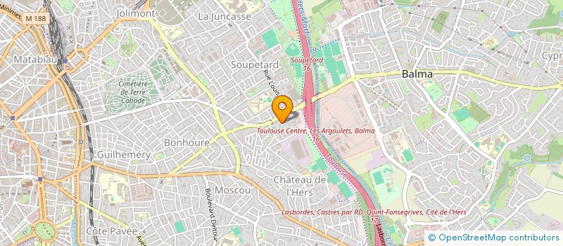 localisation de l'entreprise MADAME SARA MARTINS FERNANDO  TOULOUSE