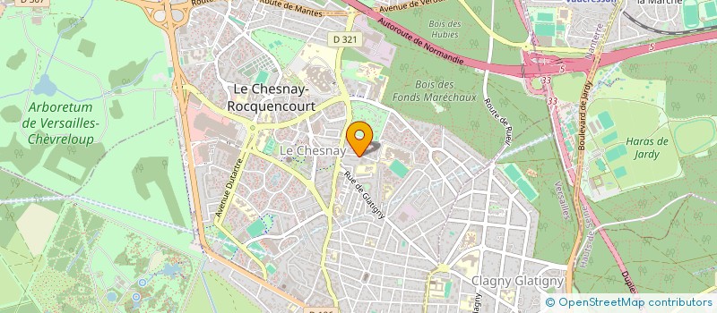 localisation de l'entreprise MADAME SARA OUIJJANE  LE CHESNAY-ROCQUENCOURT