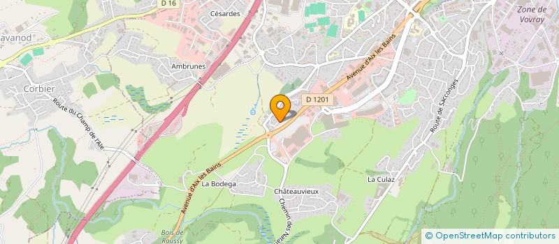 localisation de l'entreprise MADAME SARA PAIS CORREIA à ANNECY