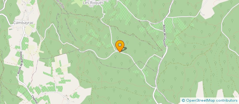 localisation de l'entreprise MADAME SARA SEPEHR  CAMBAYRAC