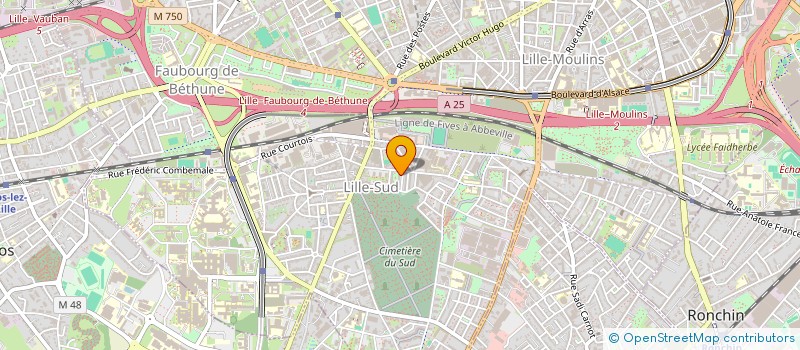 localisation de l'entreprise MADAME SARAH ARAZOUK à LILLE