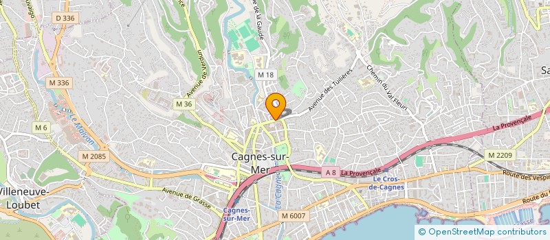 localisation de l'entreprise MADAME SARAH BARUTEU à CAGNES-SUR-MER