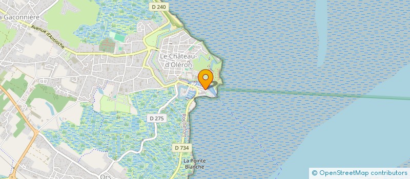 localisation de l'entreprise MADAME SARAH BECOT  LE CHATEAU-D'OLERON