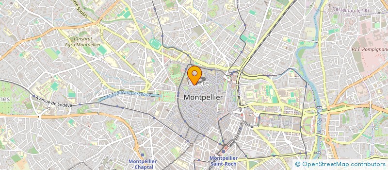 localisation de l'entreprise MADAME SARAH BIRO à MONTPELLIER
