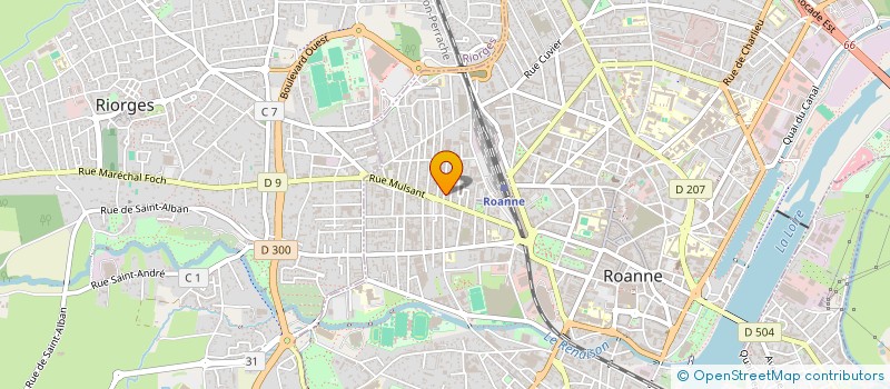 localisation de l'entreprise MADAME SARAH BOROWCZYK  ROANNE