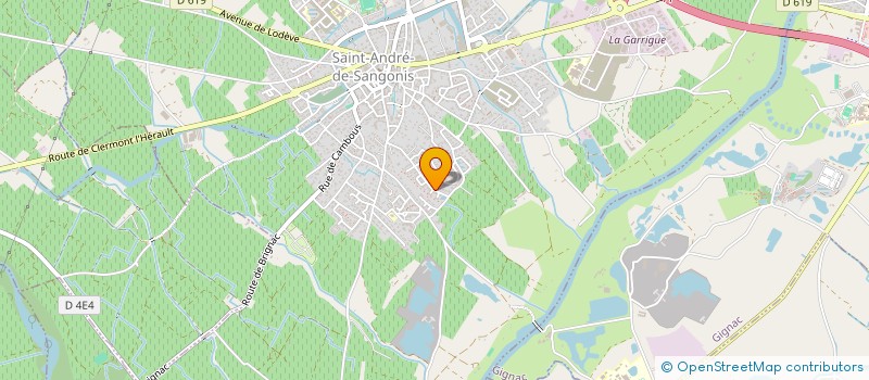 localisation de l'entreprise MADAME SARAH BOURAS  SAINT-ANDRE-DE-SANGONIS