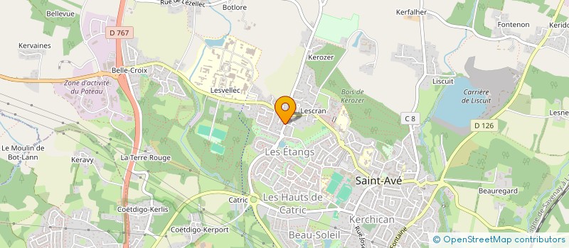 localisation de l'entreprise MADAME SARAH BUISSON  SAINT-AVE