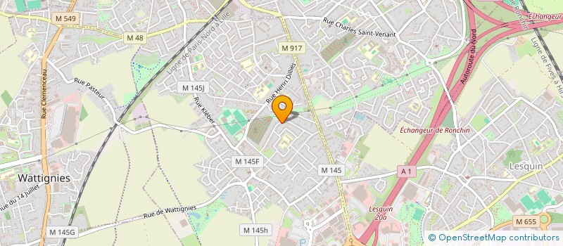 localisation de l'entreprise MADAME SARAH CHAILLANI  FACHES-THUMESNIL