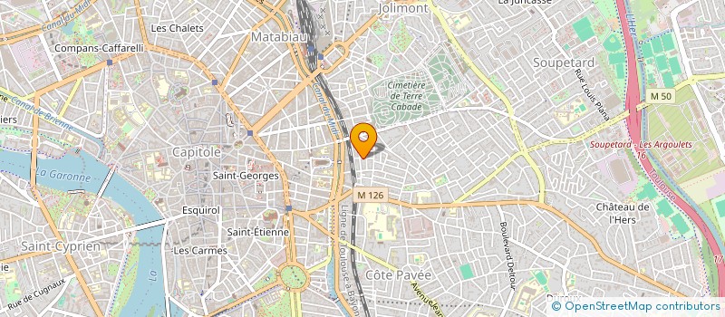 localisation de l'entreprise MADAME SARAH DEBIEUVRE-MASUBI  TOULOUSE