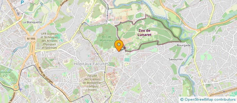 localisation de l'entreprise MADAME SARAH DEFIVES à MONTPELLIER