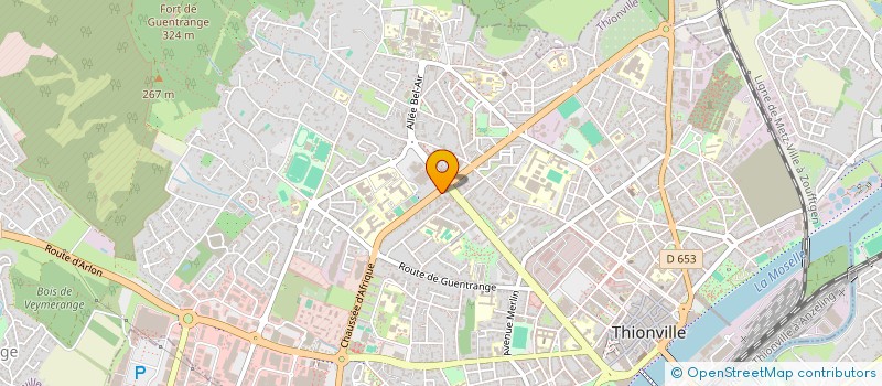 localisation de l'entreprise MADAME SARAH ERNEST  THIONVILLE