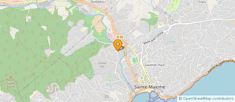 localisation de l'entreprise MADAME SARAH GOLDBERG  SAINTE-MAXIME