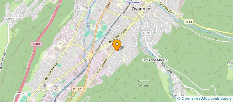 localisation de l'entreprise MADAME SARAH GONCALVES MARTIN CEPA  OYONNAX