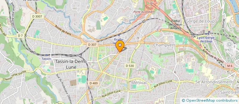 localisation de l'entreprise MADAME SARAH KHOSHABO  TASSIN-LA-DEMI-LUNE