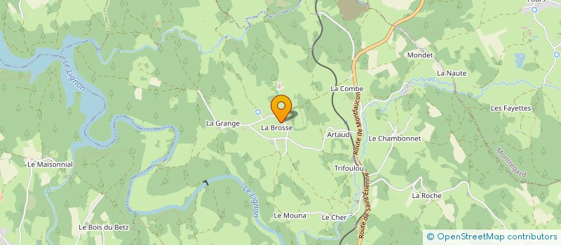 localisation de l'entreprise MADAME SARAH LHEUILLIER  TENCE