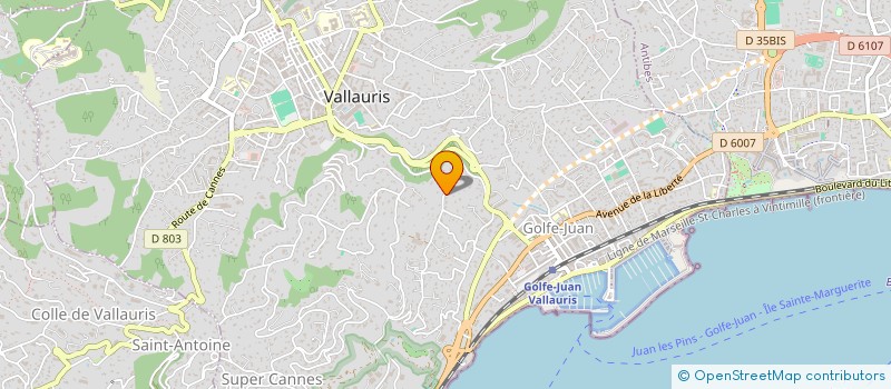 localisation de l'entreprise MADAME SARAH MANCIA  VALLAURIS