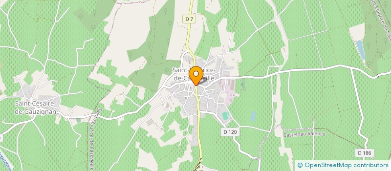 localisation de l'entreprise MADAME SARAH MARCHAND  SAINT-MAURICE-DE-CAZEVIEILLE