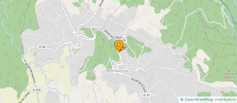 localisation de l'entreprise MADAME SARAH MARTIN  MONTAUROUX