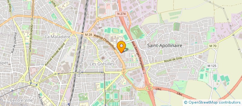 localisation de l'entreprise MADAME SARAH RELVA PITA à DIJON