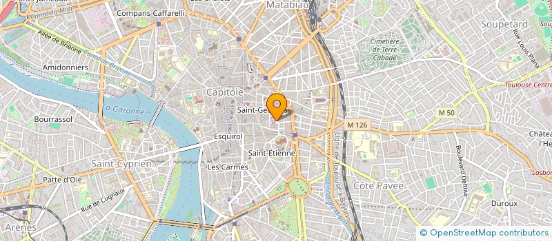 localisation de l'entreprise MADAME SARAH ROMY  TOULOUSE