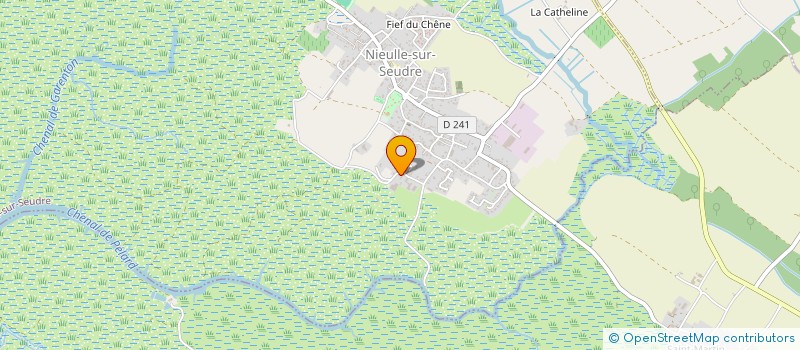 localisation de l'entreprise MADAME SARAH SIDIBE  NIEULLE-SUR-SEUDRE