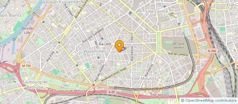localisation de l'entreprise MADAME SARAH TOUAMA à LILLE