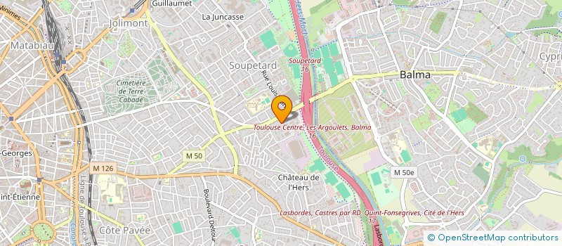 localisation de l'entreprise MADAME SARAH VILETTE-DUBUIS à TOULOUSE